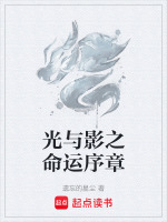 光与影之命运序章