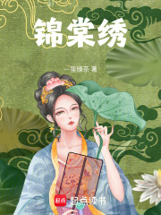 《锦棠绣》封面