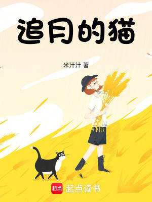 《追月的猫》封面