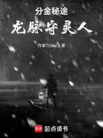 分金秘途：龙脉守灵人