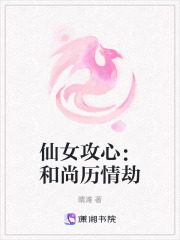 《仙女攻心：和尚历情劫》封面