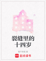 说明书折叠的翼