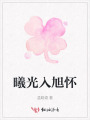 曦光入旭怀