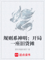 规则系神明：开局一座旧货摊