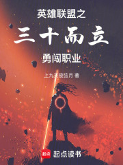 《英雄联盟之三十而立勇闯职业》封面
