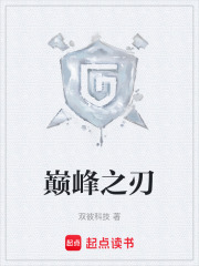 《巅峰之刃》封面