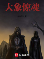 《大象惊魂》封面