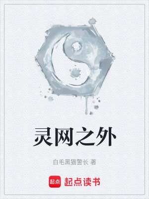 《灵网之外》封面