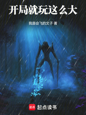 《开局就玩这么大》封面