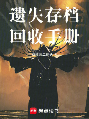《遗失存档回收手册》封面