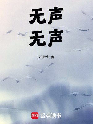 《无声，无声》封面