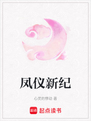 《凤仪新纪》封面