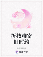 泉州开埠大结局