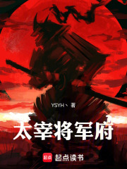 《太宰将军府》封面