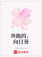 《奔跑的，向日葵》封面