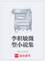 李积敏微型小说集