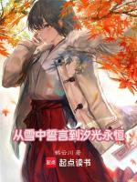 从雪中誓言到汐光永恒