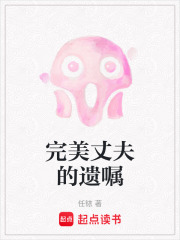 《完美丈夫的遗嘱》封面