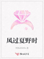 风过夏野时