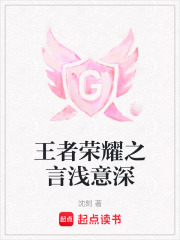 《王者荣耀之言浅意深》封面