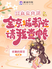 重生休夫后，全京城都在请我查账