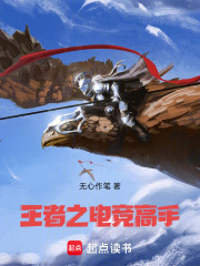 《王者之电竞高手》封面