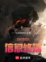 SKIBIDI信息终端