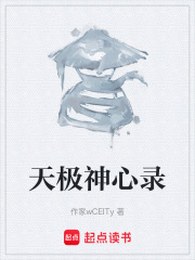 《天极神心录》封面