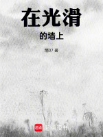 在光滑的墙上