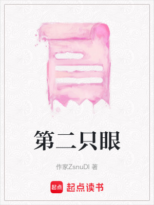 《第二只眼》封面
