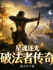 《星魂逐光：破法者传奇》封面