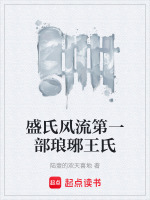 盛氏风流第一部琅琊王氏