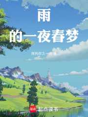 《雨的一夜梦》封面