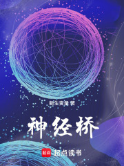 《神经桥》封面