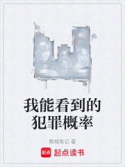 《我能看到的犯罪概率》封面