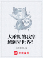 大乘期的我穿越到异世界？