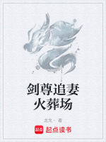 剑尊追妻火葬场