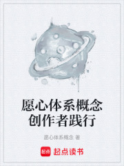 《愿心体系概念创作者践行》封面