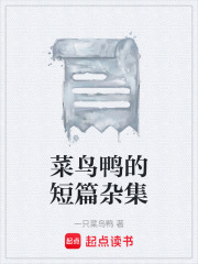 《菜鸟鸭的短篇杂集》封面