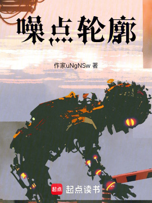 《噪点轮廓》封面