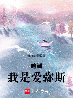 《鸣潮，我是爱弥斯！》封面