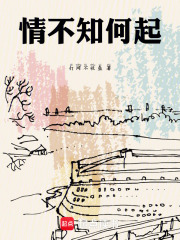 《情不知何起》封面