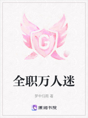 《全职万人迷》封面