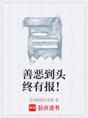 《善恶到头终有报！》封面