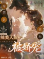 嫁禁欲大佬后，辣美人随军被娇宠