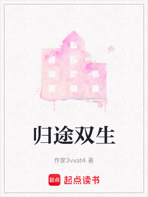 《归途双生》封面