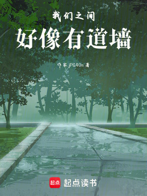 《我们之间好像有道墙》封面