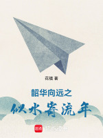 韶华向远之似水寄流年