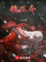 《锁狐令》封面
