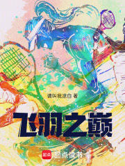 《飞羽之巅！》封面